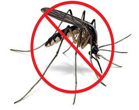 traitement anti moustiques à rabat